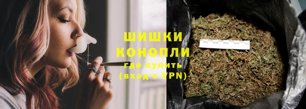 амф Липки