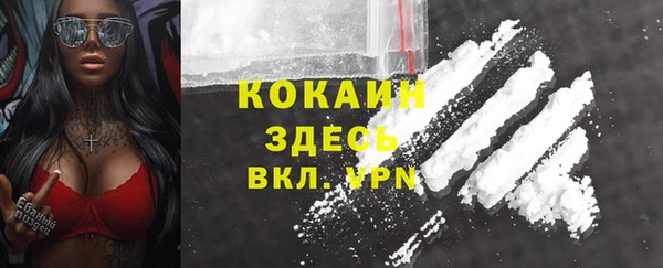 амф Липки