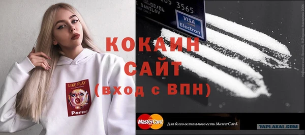 амф Липки