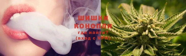 амф Липки