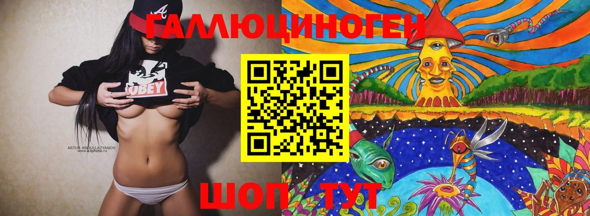 Псилоцибиновые грибы Psilocybe Новоуральск