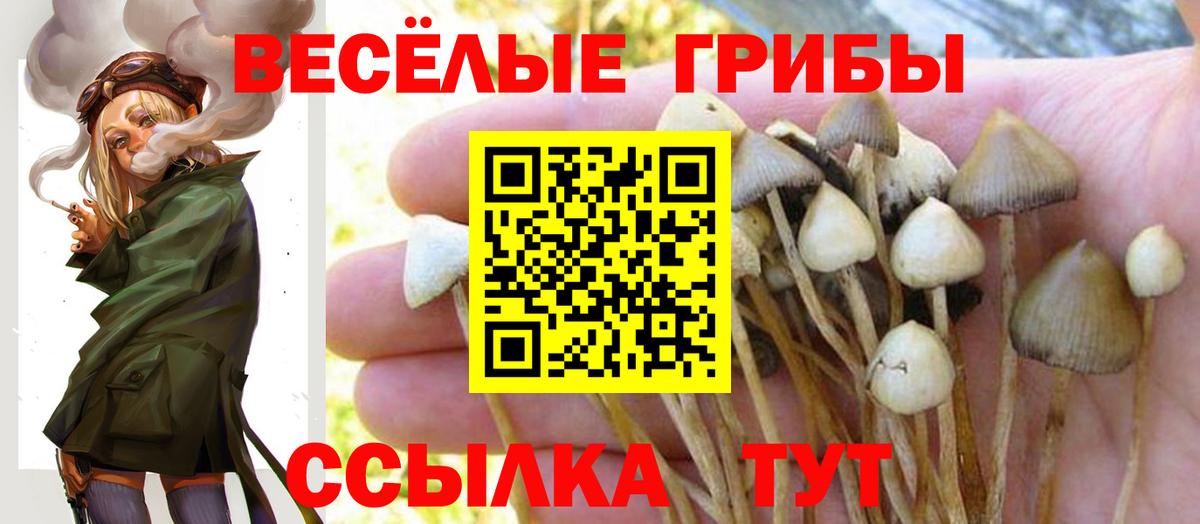 Псилоцибиновые грибы Psilocybine cubensis  Галлюциногенные грибы GOLDEN TEACHER  Новоуральск  Вход с VPN 